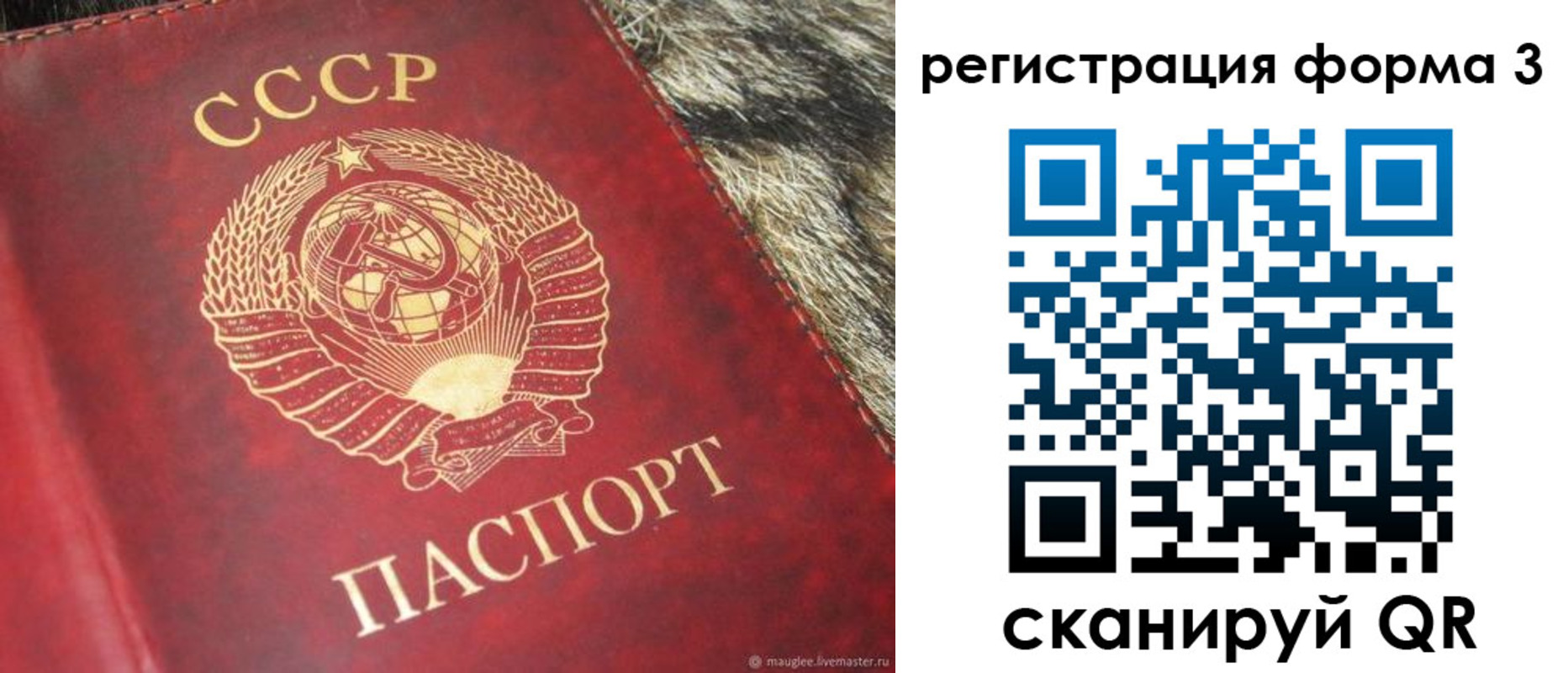 прописка регистрация в Змеиногорске